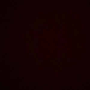 Meet your Posher, Jocelyn